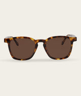 Stevie - Turtle (Polarized)