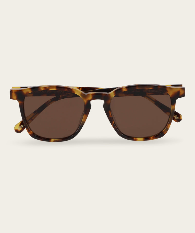Stevie - Turtle (Polarized)