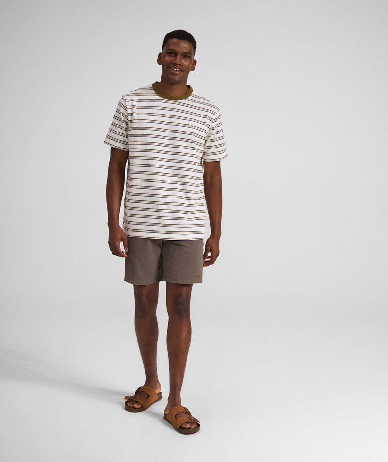 Mens Regular Fit Stripe Tee - x Ivory Multi