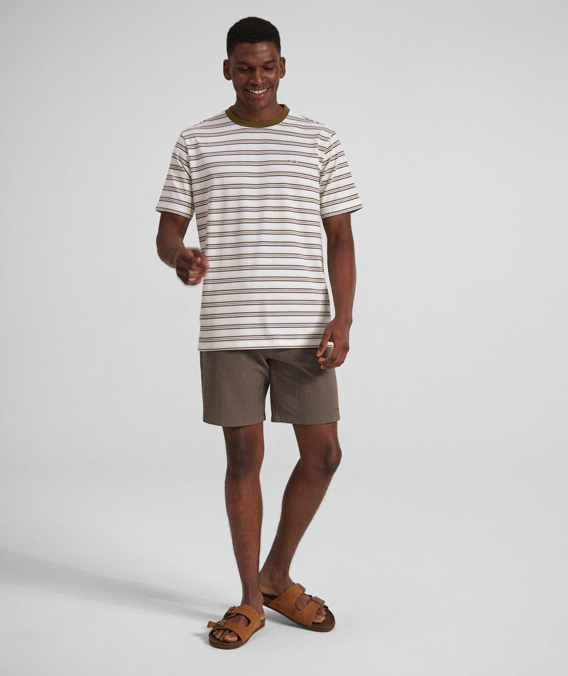 Mens Regular Fit Stripe Tee - x Ivory Multi
