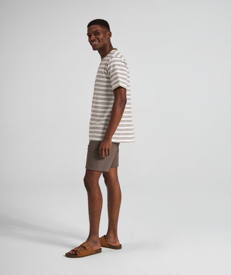 Mens Regular Fit Stripe Tee - x Ivory Multi