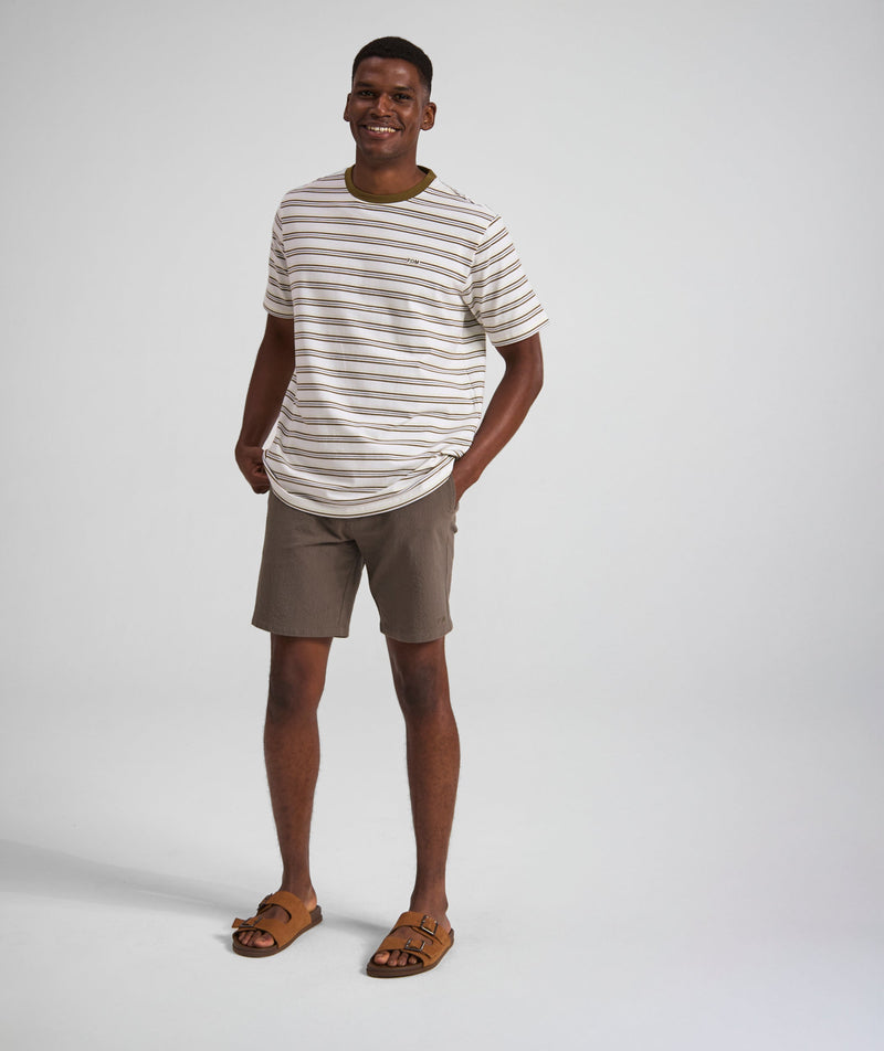 Mens Regular Fit Stripe Tee - x Ivory Multi